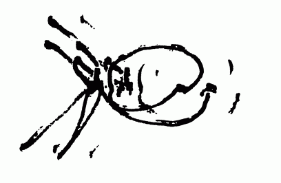 55828-1.gif, 9 KB